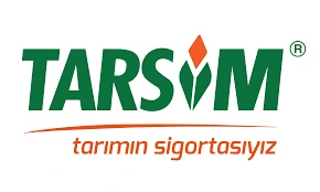 Tarsim